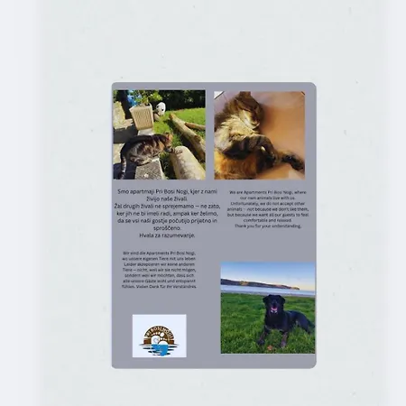 Apartmaji Pri Bosi Nogi Appartamento Izola