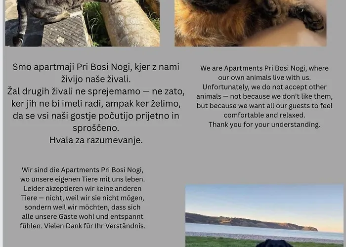 דירה Apartmaji Pri Bosi Nogi איזולה